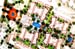 SMVLandscapeVieWWW
